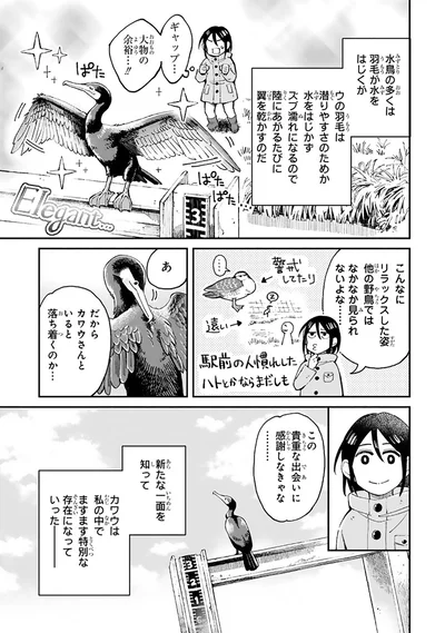 『まいにち鳥びより』より