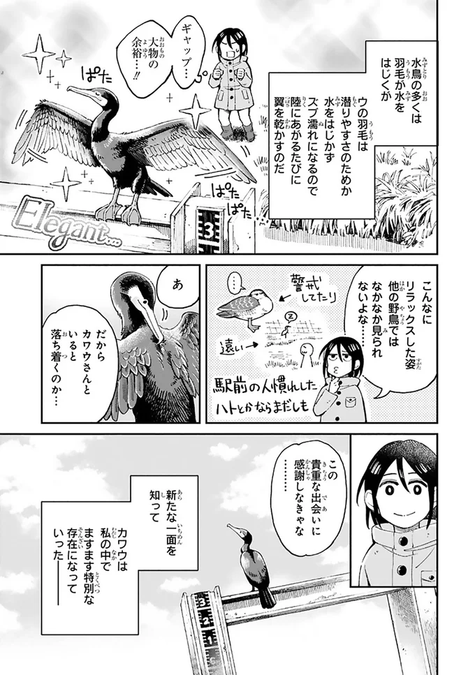 『まいにち鳥びより』より