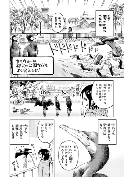 『まいにち鳥びより』より