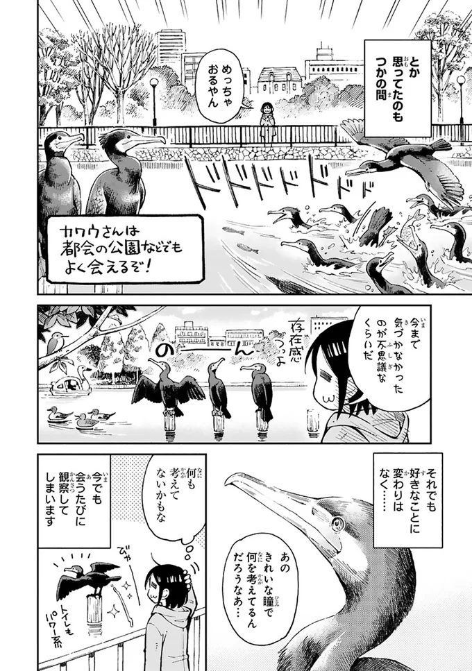 『まいにち鳥びより』より