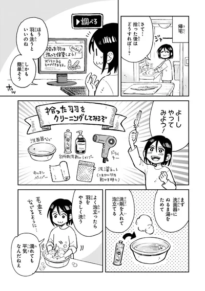 『まいにち鳥びより』より