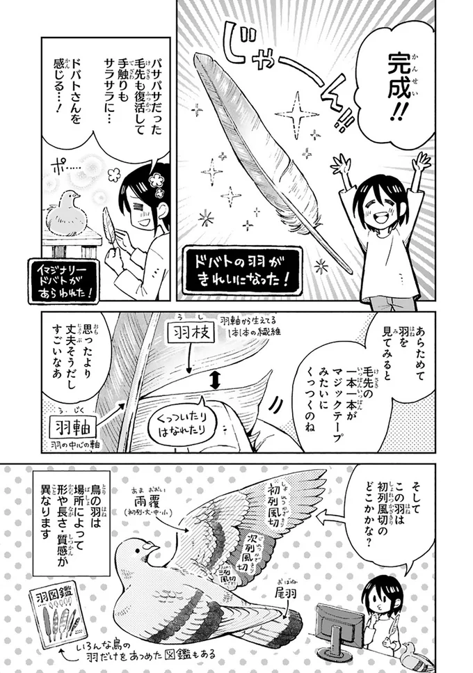 『まいにち鳥びより』より