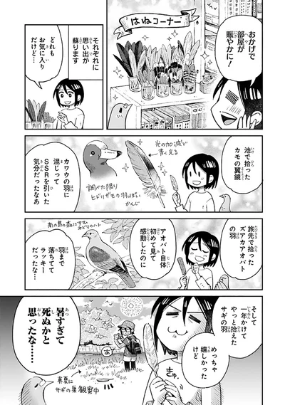 『まいにち鳥びより』より