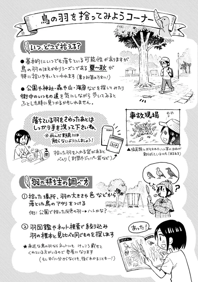 『まいにち鳥びより』より