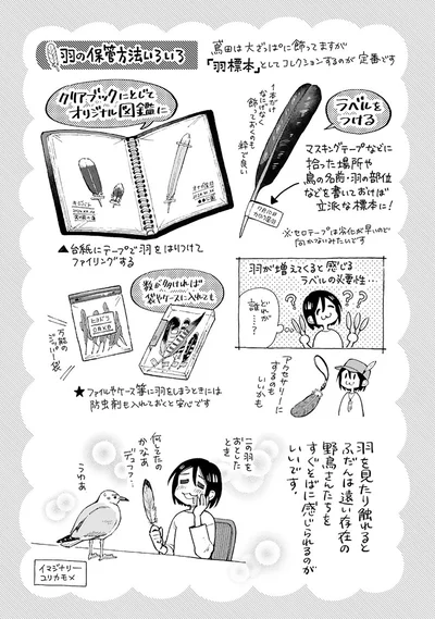 『まいにち鳥びより』より