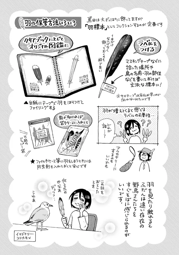 『まいにち鳥びより』より