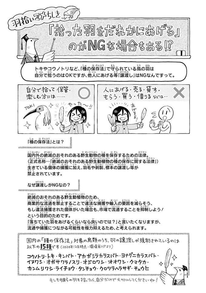 『まいにち鳥びより』より