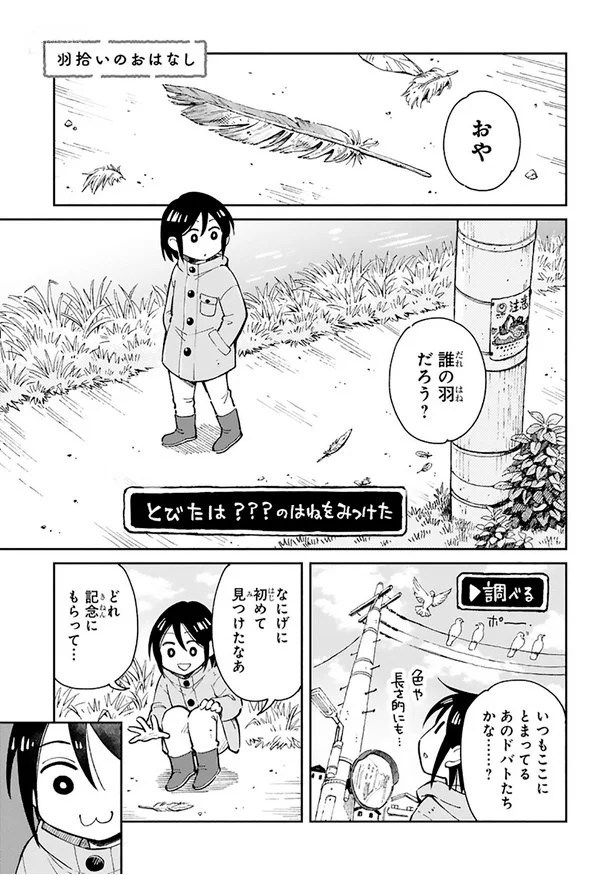 『まいにち鳥びより』より