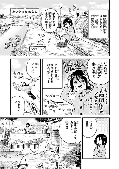 『まいにち鳥びより』より