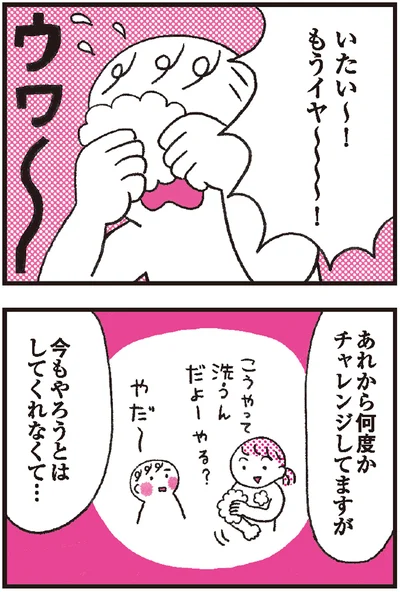 何度かチャレンジしてますが