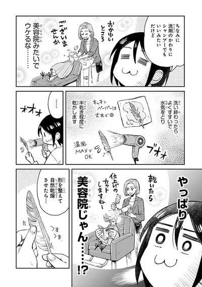 ちなみに洗剤のかわりにシャンプーでもいいみたいだけど