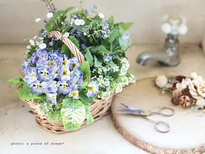 ベランダの寄せ植え