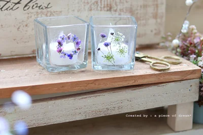 お気に入りの植物をおしゃれなインテリアに