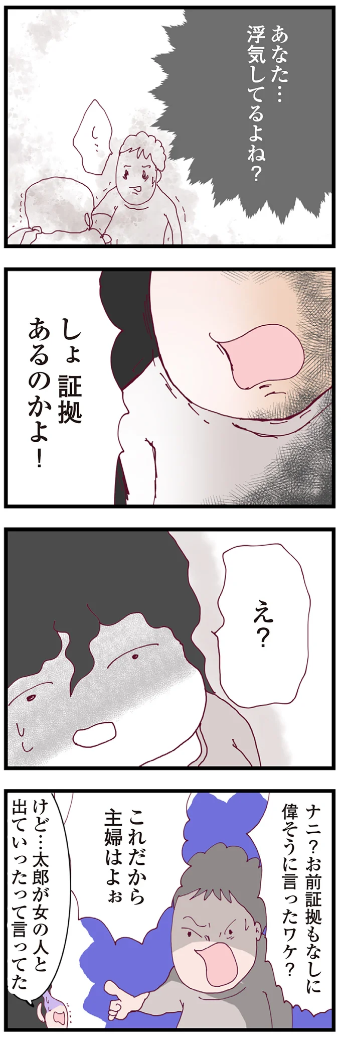 『整形主婦 サレ妻の逆襲』より