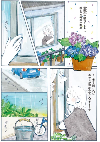 梅雨の季節