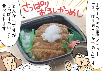 『さっぱりおろしかつめし』