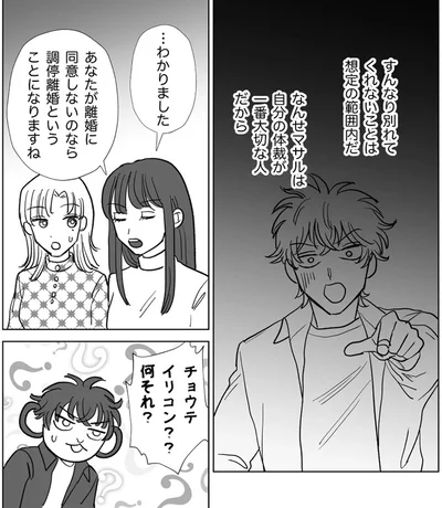調停離婚ということになりますね