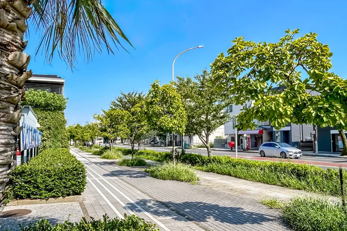 緑が映える横浜の道