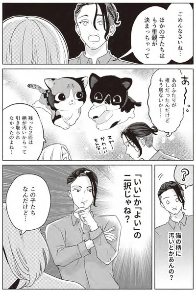 『借金1000万作曲家の人生を変えてくれた猫の話』より