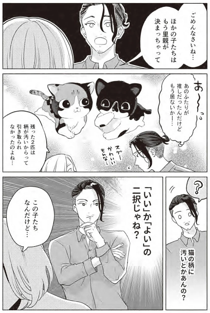 『借金1000万作曲家の人生を変えてくれた猫の話』より