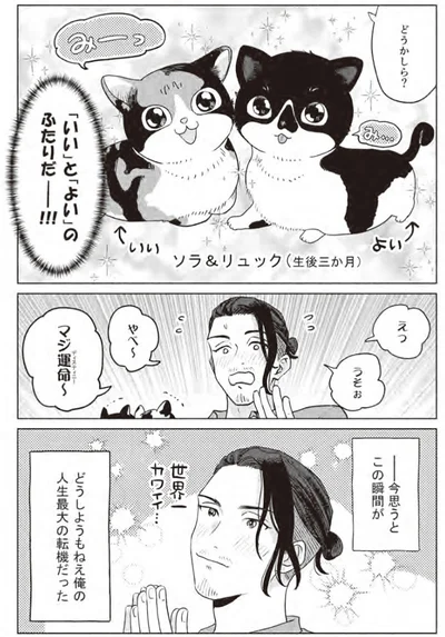 『借金1000万作曲家の人生を変えてくれた猫の話』より
