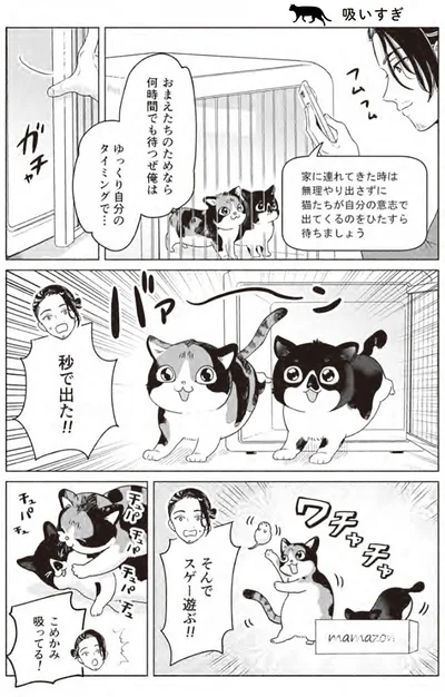 『借金1000万作曲家の人生を変えてくれた猫の話』より
