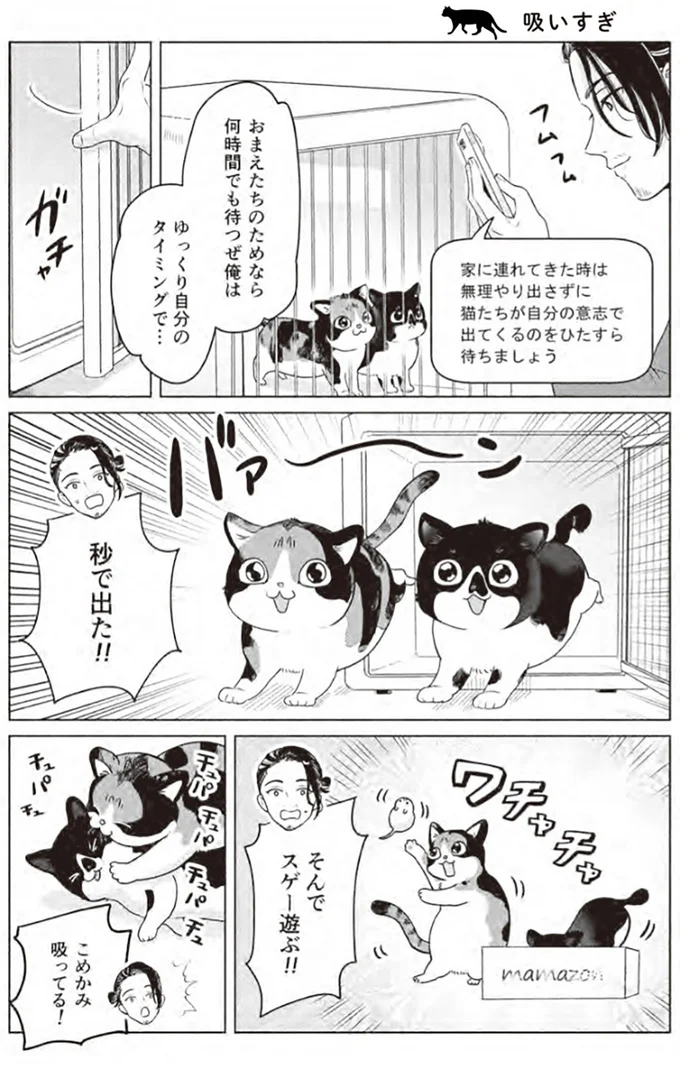 『借金1000万作曲家の人生を変えてくれた猫の話』より