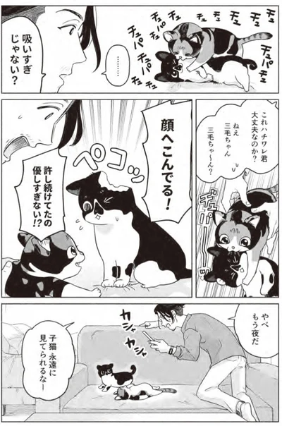『借金1000万作曲家の人生を変えてくれた猫の話』より