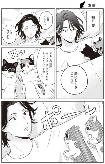 『借金1000万作曲家の人生を変えてくれた猫の話』より