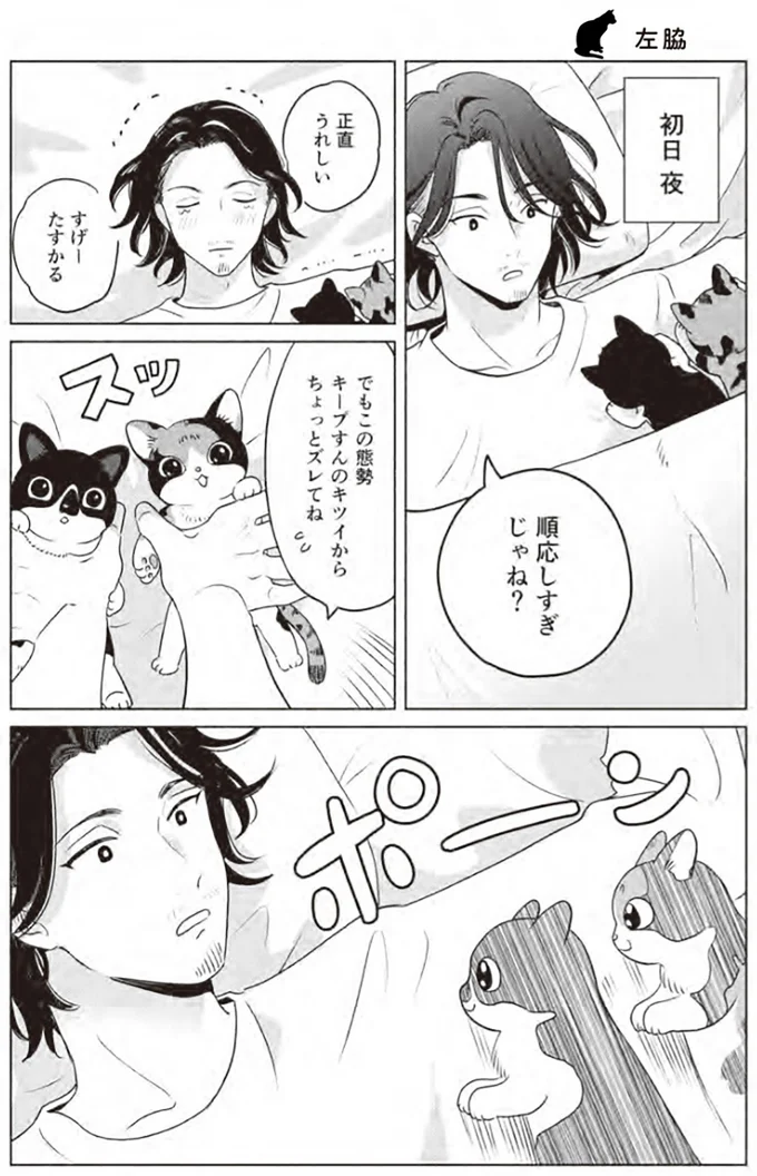 『借金1000万作曲家の人生を変えてくれた猫の話』より