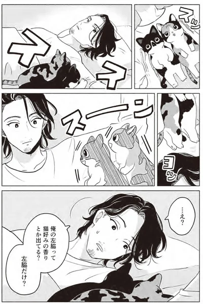 『借金1000万作曲家の人生を変えてくれた猫の話』より