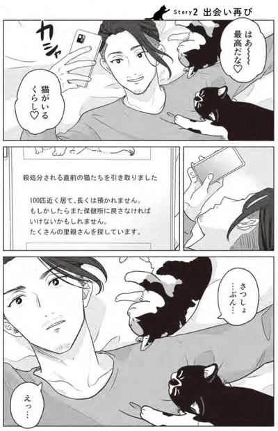 『借金1000万作曲家の人生を変えてくれた猫の話』より