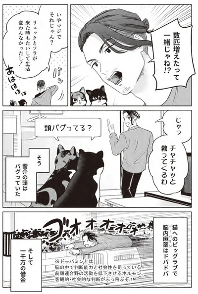 『借金1000万作曲家の人生を変えてくれた猫の話』より