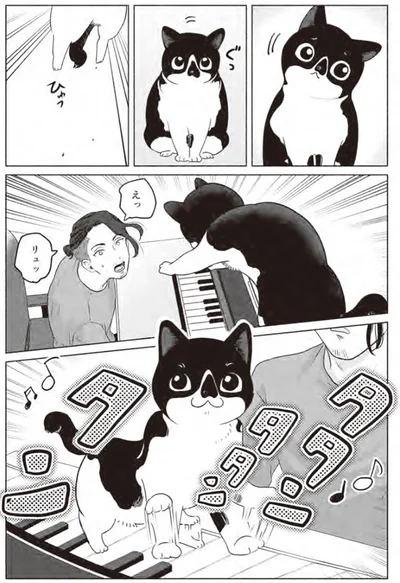 『借金1000万作曲家の人生を変えてくれた猫の話』より