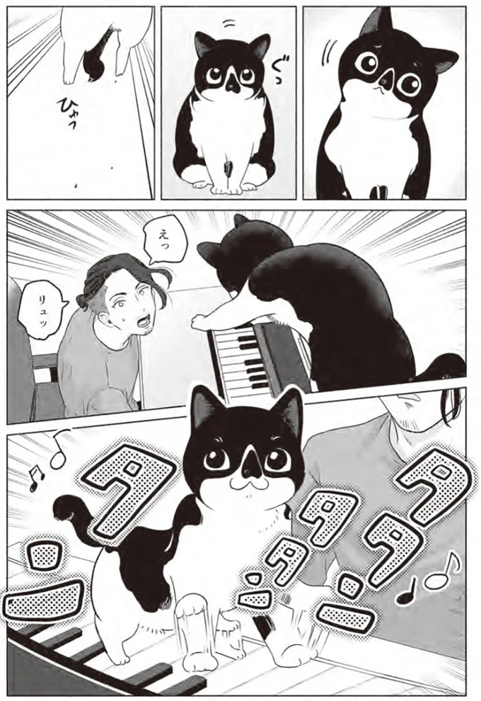 『借金1000万作曲家の人生を変えてくれた猫の話』より
