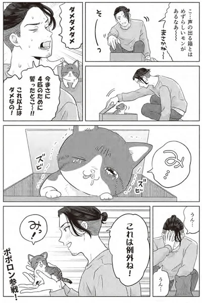 『借金1000万作曲家の人生を変えてくれた猫の話』より