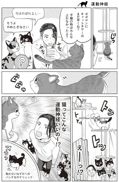 『借金1000万作曲家の人生を変えてくれた猫の話』より