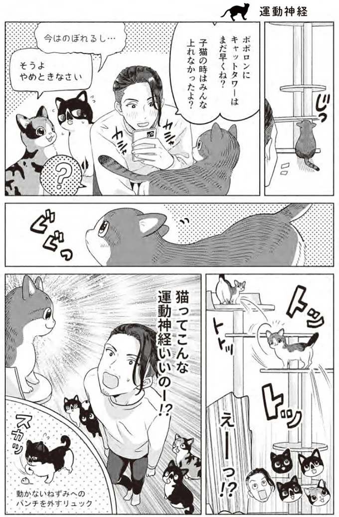 『借金1000万作曲家の人生を変えてくれた猫の話』より