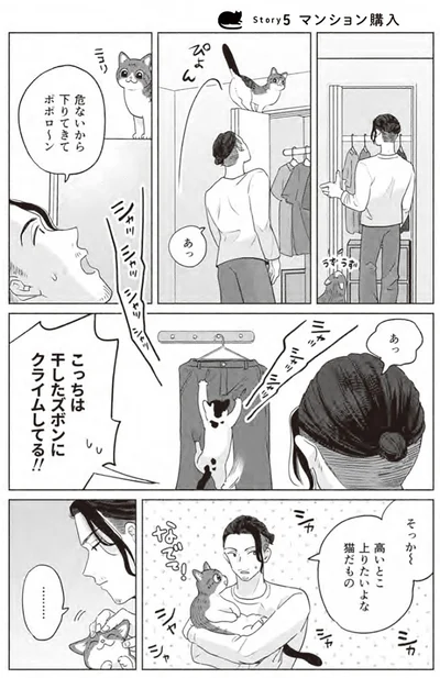 『借金1000万作曲家の人生を変えてくれた猫の話』より
