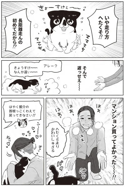 『借金1000万作曲家の人生を変えてくれた猫の話』より