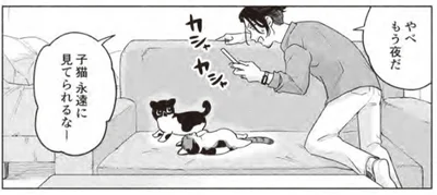 子猫の里親になった作曲家。「永遠に見てられるなー」猫と過ごす幸せに浸る！
