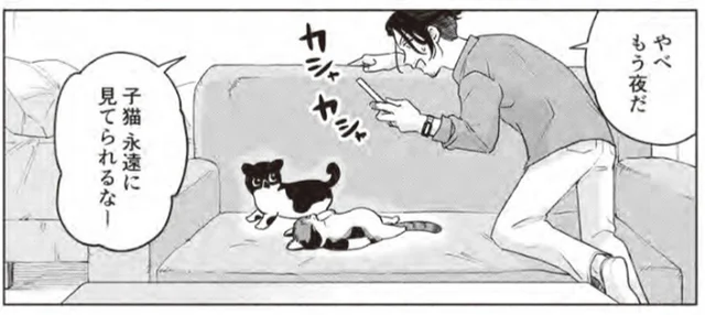 子猫の里親になった作曲家。「永遠に見てられるなー」猫と過ごす幸せに浸る！／借金1000万作曲家の人生を変えてくれた猫の話（3）