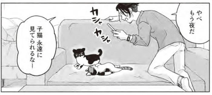 子猫の里親になった作曲家。「永遠に見てられるなー」猫と過ごす幸せに浸る！／借金1000万作曲家の人生を変えてくれた猫の話（3）