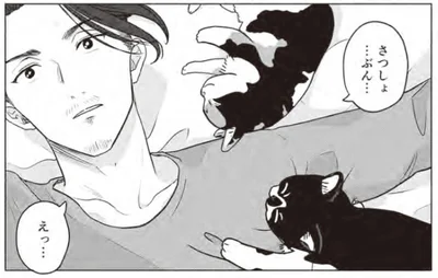 殺処分直前の猫を救いたい！ 貧乏作曲家の猫愛が止まらない