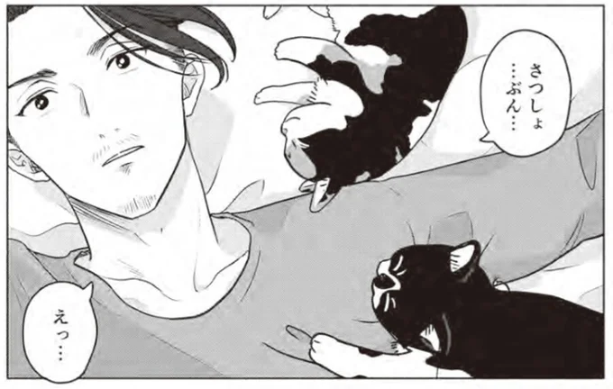殺処分直前の猫を救いたい！ 貧乏作曲家の猫愛が止まらない
