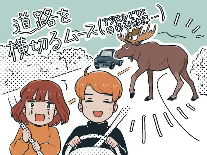 道路を横切るムース