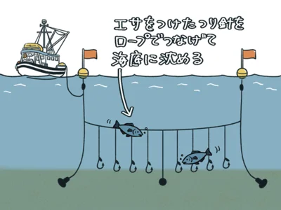エサをつけたつり針をロープでつなげて海底に沈める