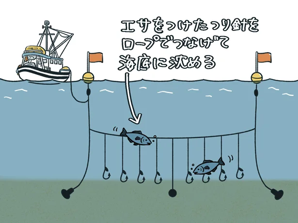 エサをつけたつり針をロープでつなげて海底に沈める