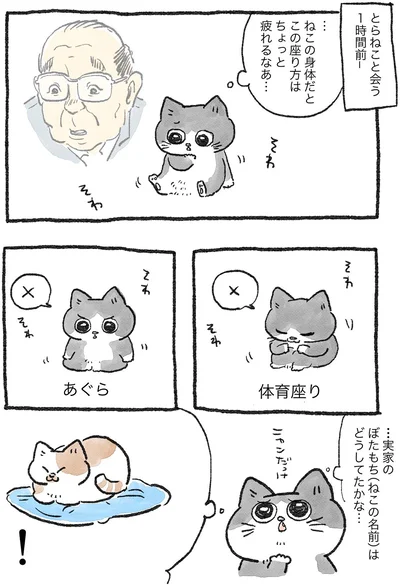 ちょっと疲れるなあ…