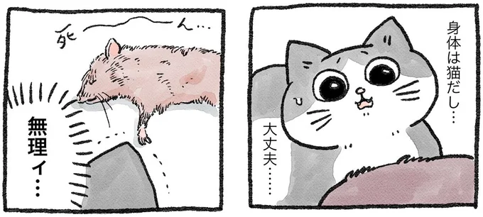 身体は猫だし…大丈夫…